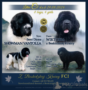 Foto №3. Vorabend. Polen