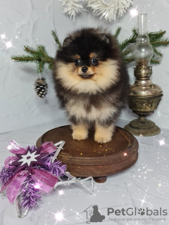 Foto №3. Helles Mädchen. Russische Föderation