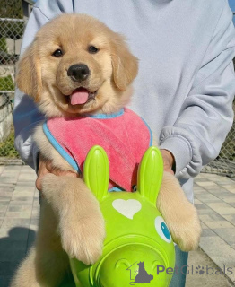 Foto №1.  - zum Verkauf in der Stadt Granada | Frei | Ankündigung № 161253