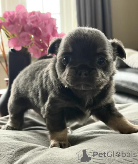 Foto №1.  - zum Verkauf in der Stadt Grevesmühlen | 290€ | Ankündigung № 167681