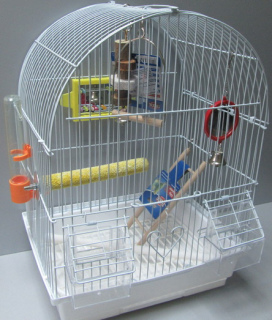 Foto №1. Papageienkäfig mit Kit in der Stadt Minsk. Price - 7€. Ankündigung № 4998