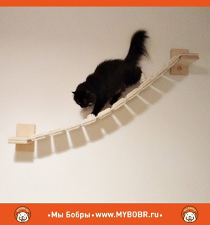 Foto №3. Suspension Kit für Katzen 