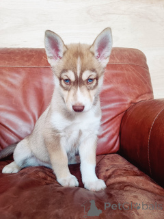 Foto №1.  - zum Verkauf in der Stadt Schlechtes Kreuznach | verhandelt | Ankündigung № 167070