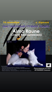 Foto №3. Groomer-Kurse in Ukraine