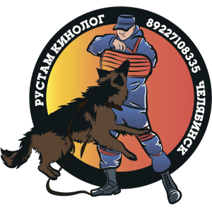 Foto №1. Service des Hundeführer in der Stadt Tscheljabinsk. Price - Verhandelt. Ankündigung № 3631