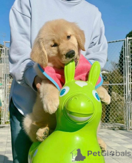 Foto №4. Ich werde verkaufen  in der Stadt Granada.  - preis - Frei