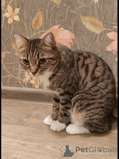 Foto №1.  - zum Verkauf in der Stadt Khimki | Frei | Ankündigung № 147189