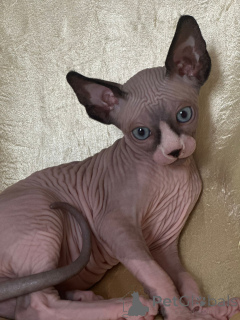 Foto №3. Nataliia. Deutschland