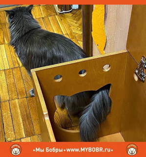 Foto №2. Möbel für Hunde und Katzen in Russische Föderation. Price - 81€. Ankündigung № 5301 