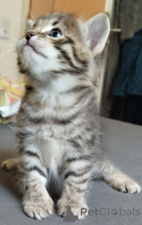 Foto №1.  - zum Verkauf in der Stadt Херцогенаурах | 70€ | Ankündigung № 139948