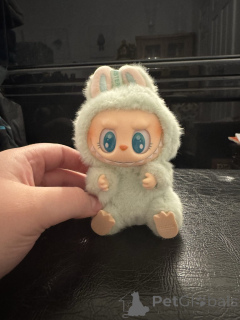 Foto №1.  - zum Verkauf in der Stadt Dabbo | 96€ | Ankündigung № 152383