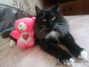 Foto №1.  - zum Verkauf in der Stadt Minsk | Frei | Ankündigung № 165134