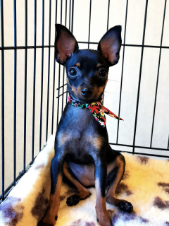 Foto №3. Olga Dyakova. Russische Föderation