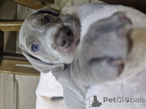 Foto №3. Natalia Nedodaeva. Kasachstan