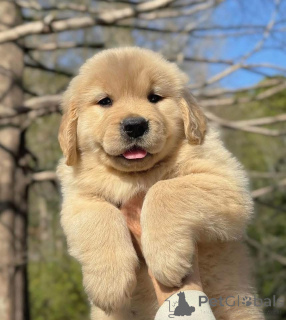 Foto №2 zu Ankündigung № 161253 zu verkaufen  - einkaufen Spanien 