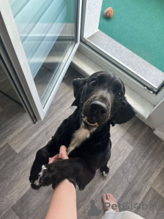 Foto №1.  - zum Verkauf in der Stadt Berlin | Frei | Ankündigung № 152369