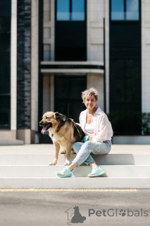 Foto №3. Die Melone wartet auf ihren Mann.. Russische Föderation