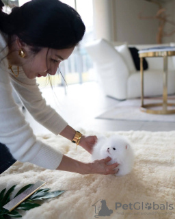 Foto №3. Кyr. Russische Föderation