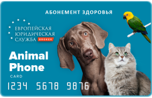 Foto №1. Tierärztliche Dienste in der Stadt Moskau. Price - 80€. Ankündigung № 3147
