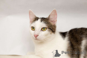 Foto №1.  - zum Verkauf in der Stadt Minsk | Frei | Ankündigung № 149226