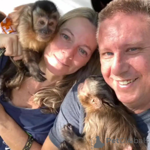 Foto №1.  - zum Verkauf in der Stadt Malaga | 5000€ | Ankündigung № 166195