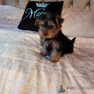 Foto №1.  - zum Verkauf in der Stadt Favignana | verhandelt | Ankündigung № 165637