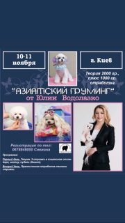 Foto №4. Groomer in Ukraine. Ankündigung № 3308