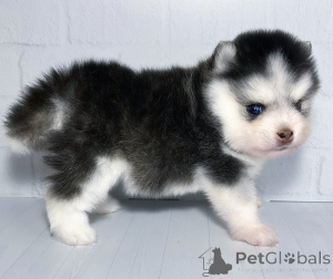 Foto №1.  - zum Verkauf in der Stadt Krasnodar | 2500€ | Ankündigung № 146696