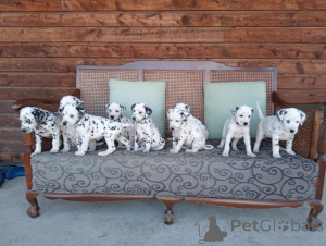 Foto №1.  - zum Verkauf in der Stadt Virginia Beach | Frei | Ankündigung № 139139