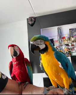 Foto №1.  - zum Verkauf in der Stadt München | Frei | Ankündigung № 161914