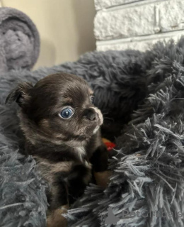 Foto №4. Ich werde verkaufen  in der Stadt Grevesmühlen.  - preis - 290€