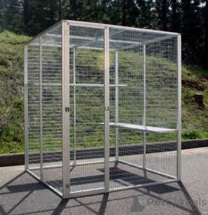 Foto №2 zu Ankündigung № 136341 zu verkaufen cane corso italiano - einkaufen Deutschland züchter