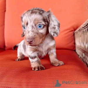 Foto №4. Ich werde verkaufen  in der Stadt Arizona.  - preis - 678€