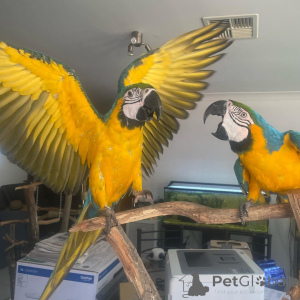 Foto №3. Meine Familie und ich sind aufgrund unvorhergesehener familiärer Probleme in. Türkei