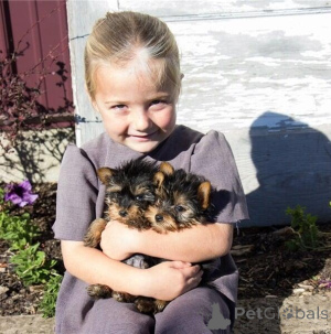 Foto №1.  - zum Verkauf in der Stadt Baden-Baden | Frei | Ankündigung № 144936