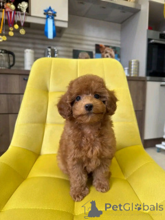 Foto №1.  - zum Verkauf in der Stadt Amberg | 400€ | Ankündigung № 159556