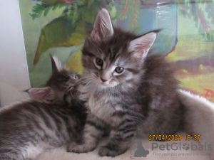 Foto №3. OLEKSANDR MALIUSCHENKO. Lettland