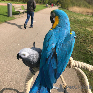 Foto №1.  - zum Verkauf in der Stadt Eksjo | verhandelt | Ankündigung № 158423