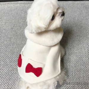 Foto №3. Süßer, entzückender Malteserwelpe zu verkaufen. Kontaktieren Sie WhatsApp. Finnland