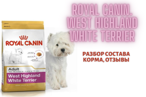 Royal Canin West Highland White Terrier: Analyse der Zusammensetzung des Futters, Bewertungen
